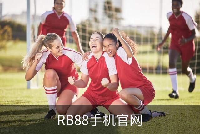 RB88手机官网公司介绍